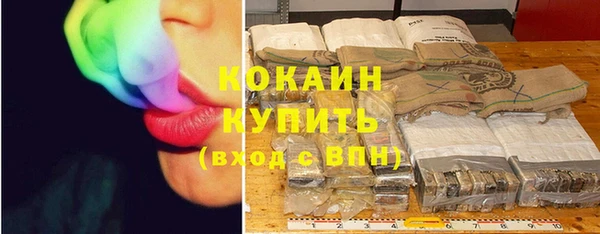 стаф Аркадак