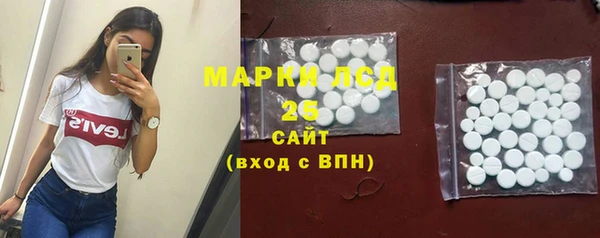 стаф Аркадак