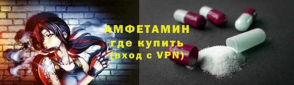 стаф Аркадак