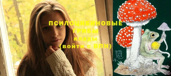 стаф Аркадак