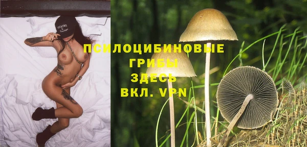 МДПВ Армянск