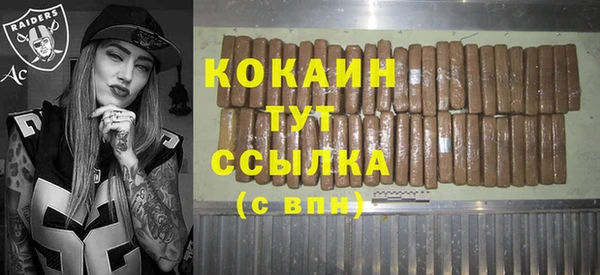 стаф Аркадак