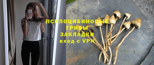 МДПВ Армянск